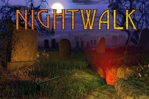 nightwalk poster