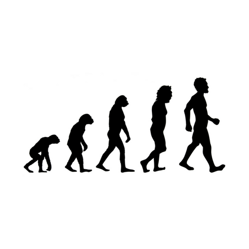 Evolution of man icon