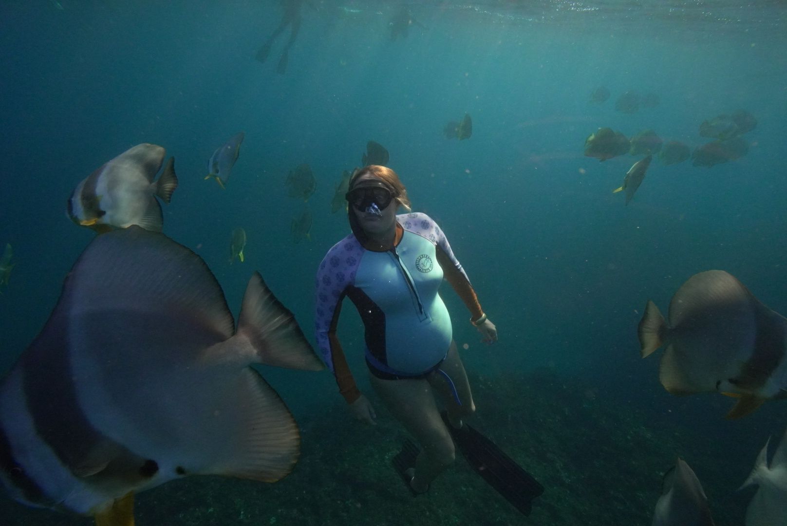 Pregnant and Still Freediving DAN Southern Africa