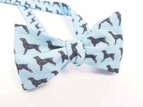boykin spaniel bow tie