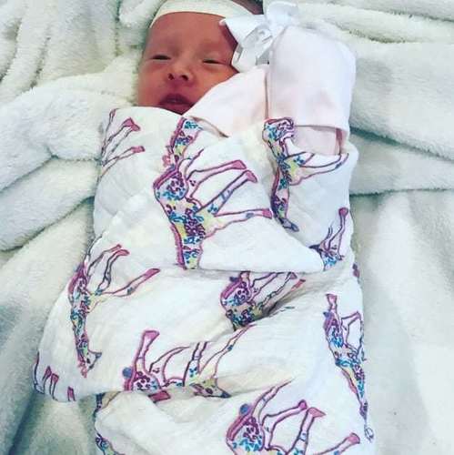 swaddled baby