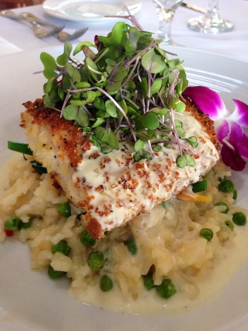 Rooftop Cafe Key West Gallery