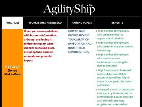 AgilityShip Practice #3 Sense Make-Give