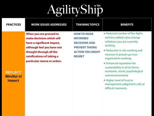 AgilityShip Practice #4 Mindful of Impact