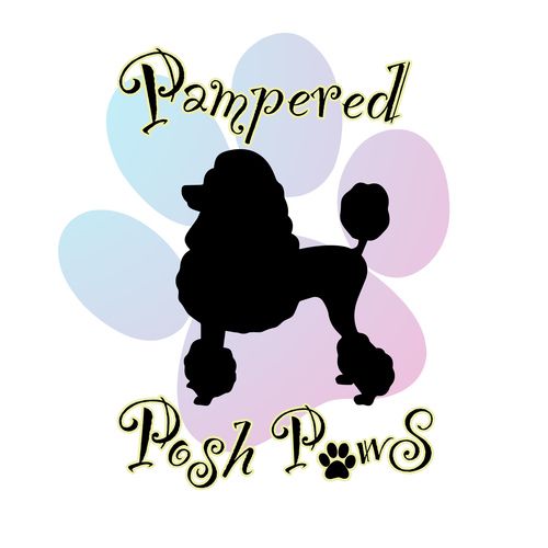 pampered paws brooklyn