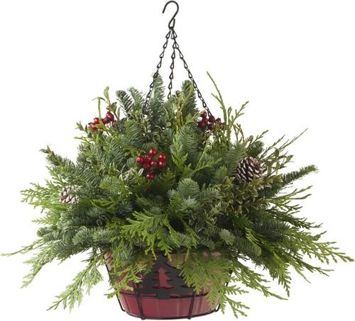 Yuletide Hanging Basket